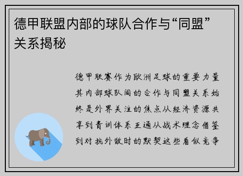 德甲联盟内部的球队合作与“同盟”关系揭秘